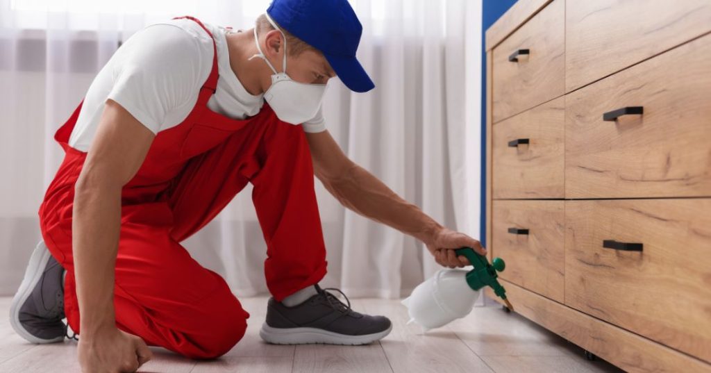 capa dedetizacao em Petrolina